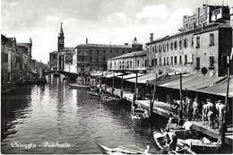 ITALIE ITALIA CHIOGGIA - Chioggia