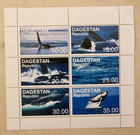RUSSIE  Baleines, Baleine, Whales, Ballena,  Wal. Feuillet 6 Valeurs Emis En 1995 (5) Neuf Sans Charniere. Mnh - Ballenas