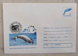 ROUMANIE  Baleines, Baleine, Whales, Ballena,  Wal. Entier Postal Emis En 1994 Neuf  (7) Programe Roumain Cercle Polaire - Balene