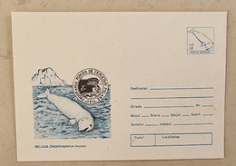 ROUMANIE  Baleines, Baleine, Whales, Ballena,  Wal. Entier Postal Emis En 1994 Neuf  (8) Programe Roumain Cercle Polaire - Walvissen