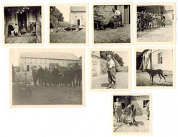 8x Orig. Foto 1935 Erbhof Bauer, Bauernhof, Cammer, Planebruch Amt Brück Potsdam - Brueck