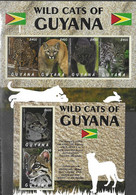 GUYANA, 2021, MNH,FELINES, WILD CATS OF GUYANA, JAGUARS, OCELOTS, COUGARS,  SHEETLET+S/SHEET - Big Cats (cats Of Prey)