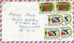 Dominica 1969 Roseau Hummingbird Colibri Flower Poinsettia Cover - Colibrì