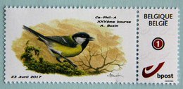 Mésange Charbonnière - 1985-.. Birds (Buzin)