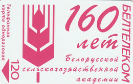 PHONE CARD BIELORUSSIA  (E67.27.1 - Belarus