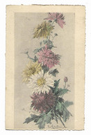 Klein , Catharina - Bouquet ; Fleurs - Klein, Catharina