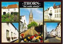 Thorn - Multivues - Thorn