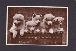 Dog Card  -   Five Small Pups  -  Lets Get Out !!.    (636).     RPPC.   1939. - Honden