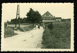 Orig Foto 1957 Gaststätte Restaurant Goldene Höhe Auerbach Vogtland Schnarrtanne - Auerbach (Vogtland)