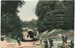 CPA - Carte Postale Belgique-Bruxelles Bois De La Cambre Le Grand Ravin 1909VM47930 - Forêts, Parcs, Jardins