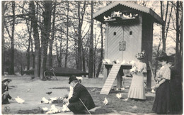 CPA - Carte Postale Belgique-Bruxelles Bois De La Cambre Les Pigeons à L'ile Du Bois VM47931 - Forêts, Parcs, Jardins