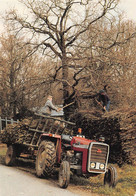 SAINT-LYPHARD - Marcel GOUESMAT Et GUIHARD Déchargement De Fagots Au Village De PINGRIN En 1991- Tirage Limité 300ex - Saint-Lyphard