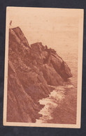 Delcampe - CPA - 29 - POINTE DU RAZ - LA TETE DE COCHON - LE HAPEAU DU GENERAL - LA MAIN - La Pointe Du Raz