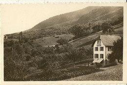 Saint Cergues Les Voirons- Pension Mon Repos - Vers Le Bois- Cpsm - Saint-Cergues