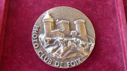 MEDAILLE BRONZE D ART 1981 PHOTO CLUB DE FOIX - Professionnels / De Société