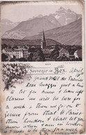 SWITZERLAND - Vignette BEX -  1895 Undivided Rear Etc - VD Vaud