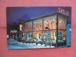 Night View     Priestley's. Shell Shop.     Dania.    Florida >         Ref 5581 - Daytona