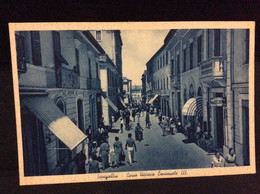Senigallia Ancona Marche  Corso Vittorio Emanuele Primi  900 - Senigallia