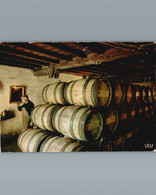 Cpsm Gd Format Dentelée - Au Pays Des Vins De Bordeaux - Un Intérieur De Chais - 1967 - Vines