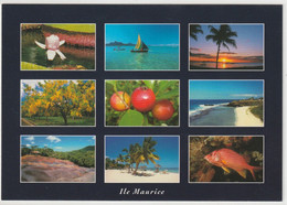 Mauritius, Maurice - Mauricio