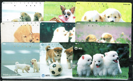 TELECARTES CHIENS CHIENS GOSSOS  9 DIFF. CHINA - Hunde