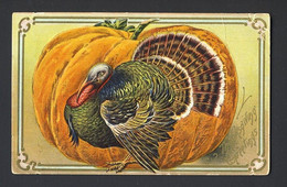 TURKEY PUMPKIN THANKSGIVING Embossed - Posted EAST BRADY PA? - Thanksgiving