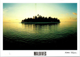 (2 F 51) Maldives Islands (2 Postcards) - Maldive