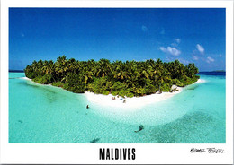 (2 F 51) Maldives Islands (2 Postcards) - Maldives