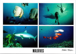 (2 F 51) Maldives Islands (2 Postcards) - Maldiven