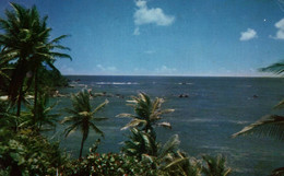 Tobago - Beach Scene - Trinidad