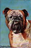 ! 1911 Alte Ansichtskarte Künstlerkarte Sign. Donadini Jr. Dresden ( Ermenegildo Carlo Donadini ) Bulldogge, Bulldog - Hunde
