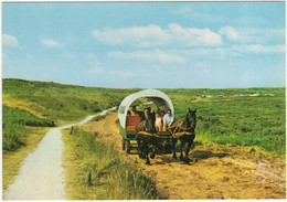 Ameland - Met De Huifkar Langs Het Wad En Door De Oerderduinen - (Wadden, Nederland / Holland) -  L2257 - Ameland