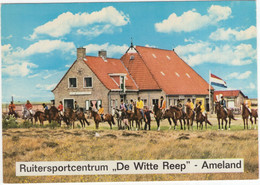 Hollum - Ameland - Ruitersportcentrum Boerderij  'De Witte Reep' - (Wadden, Nederland / Holland) - Ameland