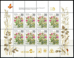 CC2072 Russia 1997 Various Flowers And Bees Butterfly Plus Words Sheet MNH - Unused Stamps