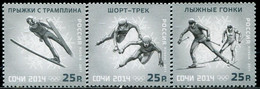 CC2079 Russia 2014 Sochi Winter Olympics Skiing And Other 3V  MNH - Unused Stamps