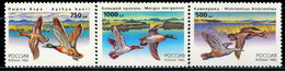 CC2080 Russia 1995 Wild Ducks 3V  MNH - Unused Stamps