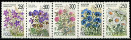 CC2090 Russia 1995 Various Flowers 5V MNH - Unused Stamps