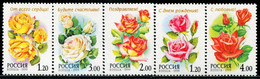 CC2123 Russia 1999 Flower Rose 5V MNH - Ungebraucht