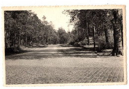 BOUWEL - De Lindekens - Kruispunt - Verzonden - Uitgave Nels - Grobbendonk