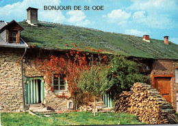 Bonjour De Ste Ode - ARDENNES PITTORESQUES, VIEILLE MAISON - Sainte-Ode