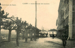 Cambo Les Bains * 1904 * Place Terrasse Des Platanes - Cambo-les-Bains