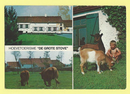 5553 - BELGIE - ZUIENKERKE - HOEVETOERISME DE GROTE STOVE - NIET GEBRUIKT - Zuienkerke