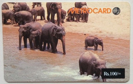 Sri Lanka Metrocard Rs. 100 Elephants - Sri Lanka (Ceylon)
