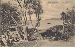 Lussinpiccolo (Mali Lošinj) * Cigale, Segelboot, Schiffe, Strand, Park, Partie * Kroatien * AK3202 - Kroatien