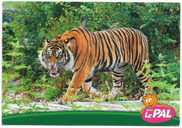 L31A749 - Parc Le Pal à Dompierre (Allier)  - Le Tigre - Editeur Valoire Estel - Tigri
