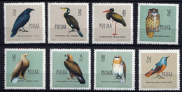 POLOGNE - Faune, Oiseaux - Y&T N° 1070-1081 - 1960 - MNH - Ongebruikt