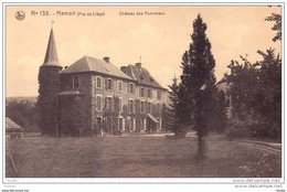 * 2.56 HAMOIR - Château Des FOURNEAUX - Kasteel - Hamoir