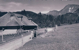 Châtel St Denis, Chalet D'alpage Aux Paccots (2649) - Châtel-Saint-Denis