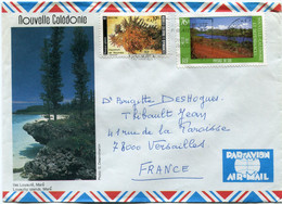 NOUVELLE-CALEDONIE LETTRE PAR AVION DEPART NOUMEA ?-?-87 POUR LA FRANCE - Lettres & Documents
