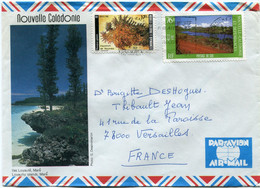 NOUVELLE-CALEDONIE LETTRE PAR AVION DEPART NOUMEA ?-?-87 POUR LA FRANCE - Storia Postale